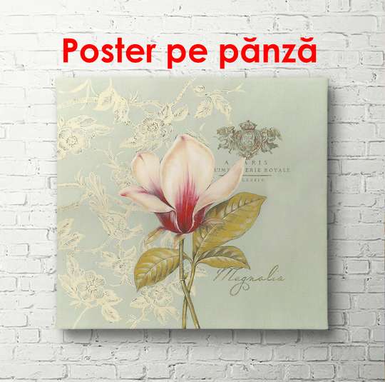 Poster - Delicate magnolia flower on a blue background, 100 x 100 см, Framed poster