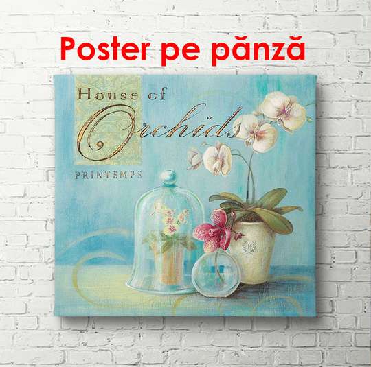 Постер - Ваза с белыми цветами на голубом фоне, 100 x 100 см, Постер в раме