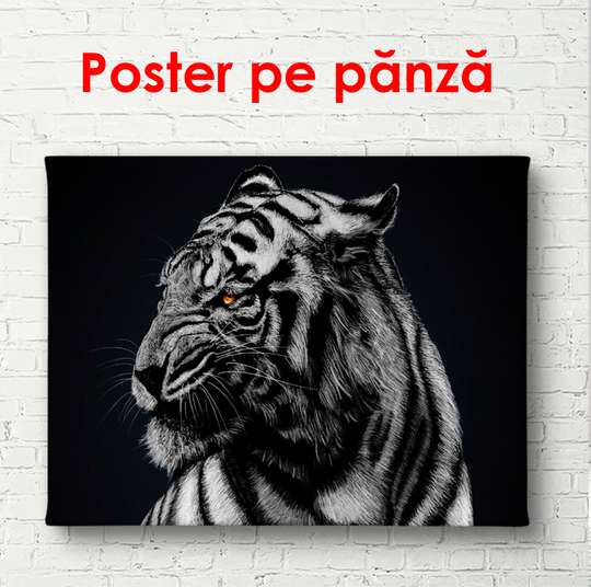 Постер, Черно белый тигр, 90 x 60 см, Постер в раме, Животные