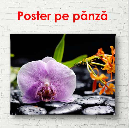 Постер - Фиолетовая орхидея на камнях, 90 x 60 см, Постер в раме