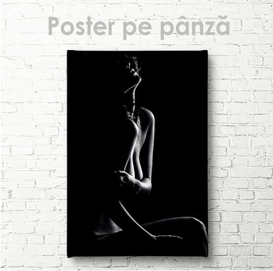 Постер - Женский силуэт, 30 x 45 см, Холст на подрамнике, Ню