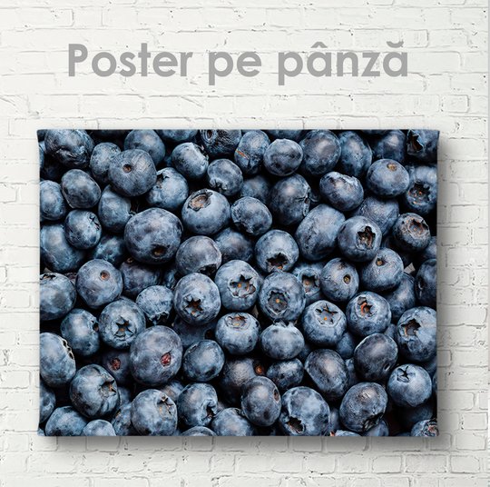 Poster, Afinele, 45 x 30 см, Panza pe cadru