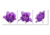 Tablou Pe Panza Multicanvas, Trei flori de liliac., 225 x 75