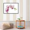 Poster - White orchid with pink edges, 45 x 30 см, Canvas on frame, Minimalism