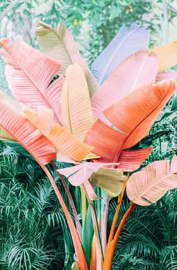 Poster - Pink palm leaves, 30 x 60 см, Canvas on frame, Botanical