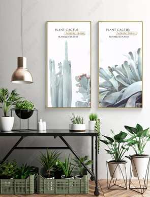 Poster - Cactus, 40 x 80 см, Poster inramat pe sticla