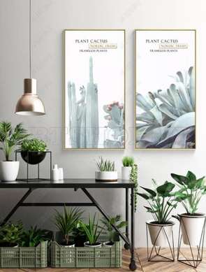 Poster - Cactus, 60 x 120 см, Panza pe cadru, Seturi