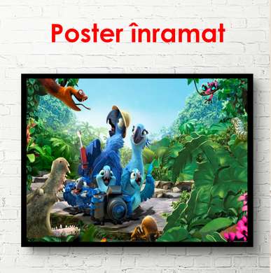 Poster - Personaje de desene animate din Rio, 90 x 60 см, Poster înrămat, Pentru Copii