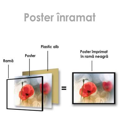 Poster - Red poppy, 100 x 100 см, 90 x 60 см, Framed poster on glass