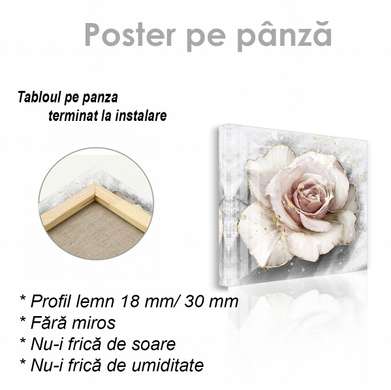 Poster - Delicate rose with golden edges, 40 x 40 см, Canvas on frame