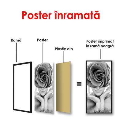 Poster - Girl with a rose, 50 x 150 см, Framed poster, Black & White