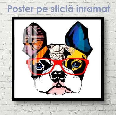Постер - Модный французский бульдог в очках, 100 x 100 см, Постер на Стекле в раме, Минимализм