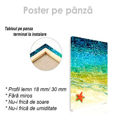 Постер - Морская звезда, 60 x 90 см, Постер на Стекле в раме, Морская Тематика