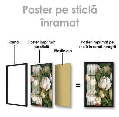 Постер - Бутоны белых пионов, 30 x 45 см, Холст на подрамнике, Цветы