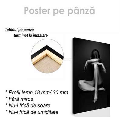 Постер - Черно белое изображение женственной девушке, 30 x 45 см, Холст на подрамнике, Ню