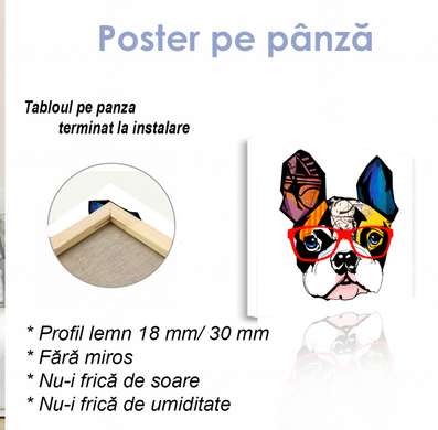 Постер - Модный французский бульдог в очках, 100 x 100 см, Постер на Стекле в раме, Минимализм
