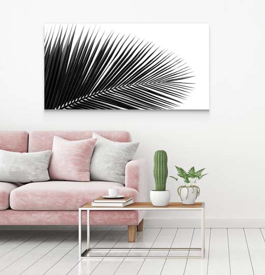 Poster - Frunze de palmier pe un fundal alb, 90 x 45 см, Poster înrămat, Alb Negru