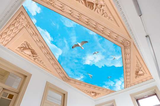 Фотообои - Бежевый потолок с видом на небо и птиц