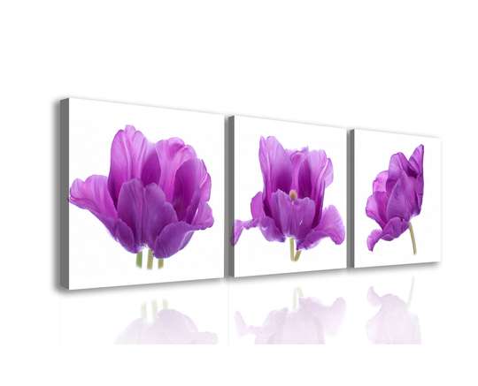 Модульная картина, Три сиреневых цветка., 225 x 75