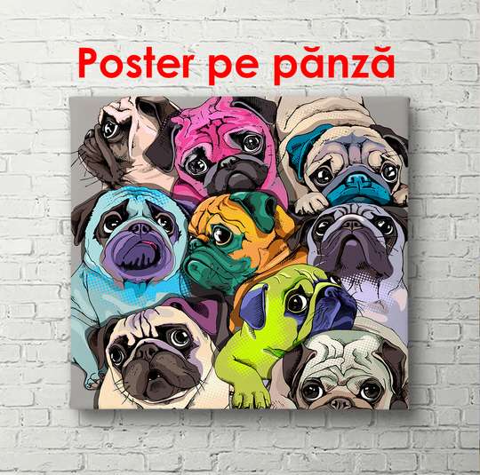 Постер - Разноцветные собачки, 100 x 100 см, Постер в раме, Для Детей