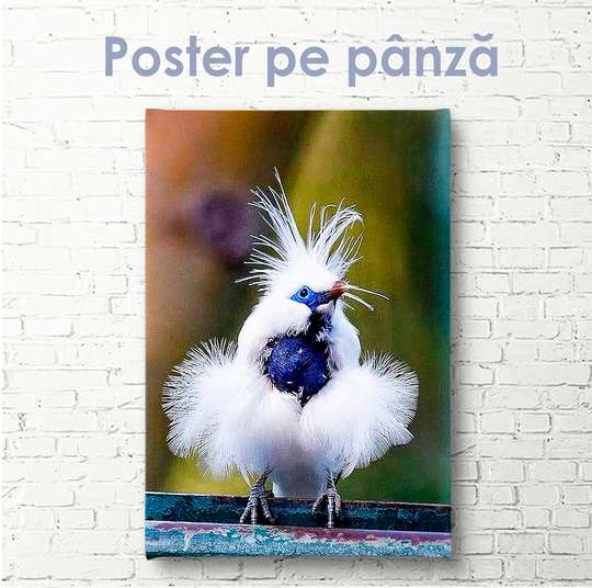 Постер, Милая птичка, 30 x 60 см, Холст на подрамнике, Животные