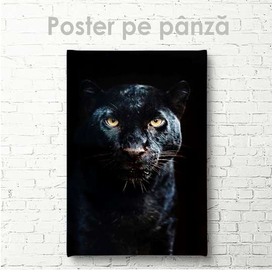 Poster, Puma neagră, 30 x 45 см, Panza pe cadru, Animale