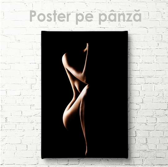 Постер - Силуэт девушке на черном фоне, 30 x 45 см, Холст на подрамнике, Ню