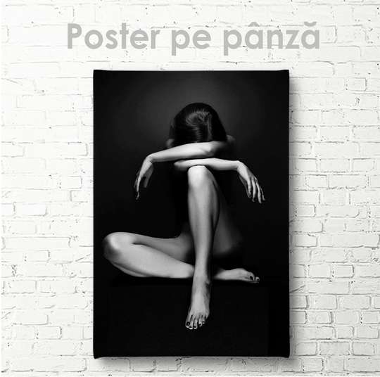 Постер - Черно белое изображение женственной девушке, 30 x 45 см, Холст на подрамнике