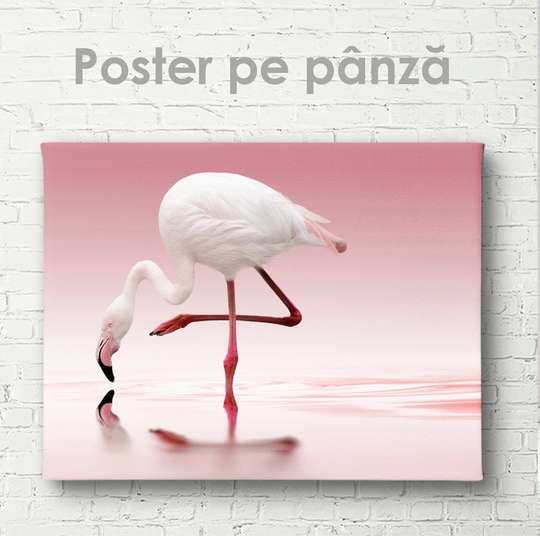 Poster, White flamingo, 45 x 30 см, Canvas on frame, Animals