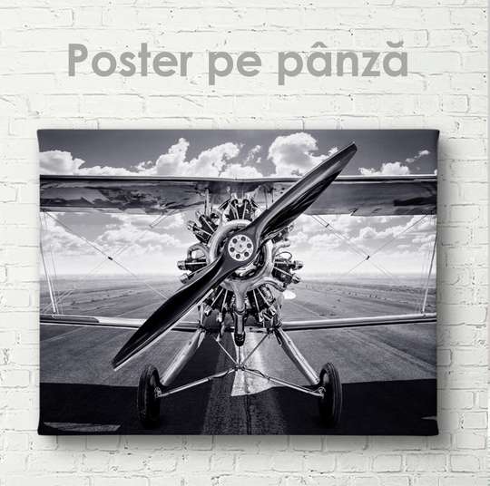 Poster - Vintage aircraft, 45 x 30 см, Canvas on frame
