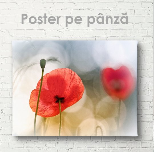 Poster, Macul roșu, 90 x 60 см, Panza pe cadru