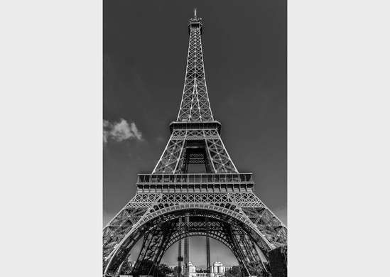 Фотообои - Париж в серых красках