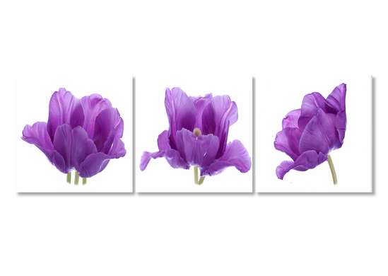 Tablou Pe Panza Multicanvas, Trei flori de liliac., 225 x 75