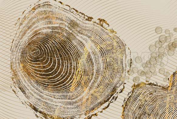 Poster - Gold Tree Rings & Beige Background, 45 x 30 см, Canvas on frame, Abstract