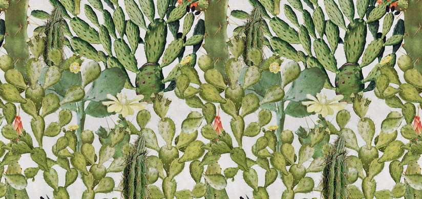 Fototapet - Un cactus verde pe un fundal alb