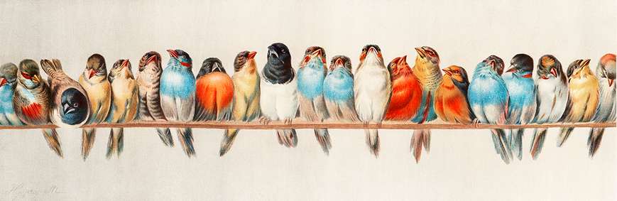 Постер, Птички на ветке, 150 x 50 см, Постер на Стекле в раме, Животные