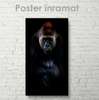 Poster, Gorilă, 30 x 60 см, Panza pe cadru, Animale