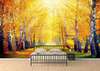 Wall Mural - Sunny forest