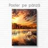 Poster - Lebăda pe fundalul apusului soarelui, 30 x 45 см, Panza pe cadru