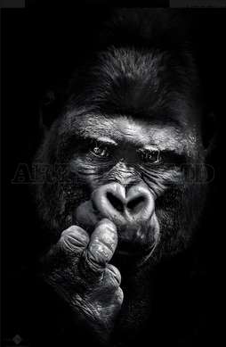 Poster - Gorilla, 30 x 60 см, Framed poster, Animals