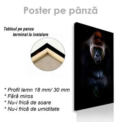 Poster, Gorilă, 30 x 60 см, Panza pe cadru, Animale