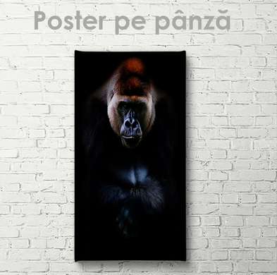 Постер, Горилла, 30 x 60 см, Холст на подрамнике, Животные