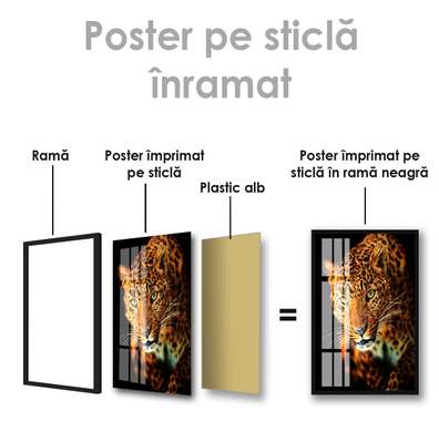 Poster, Leopard, 60 x 90 см, Poster inramat pe sticla