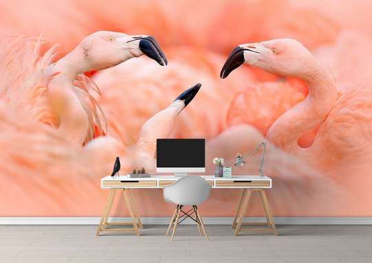 Wall Murall - Pink flamingos
