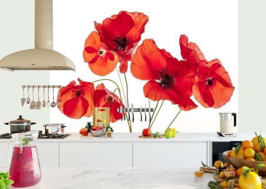 Wall Mural - Bouquet of poppies on a white background