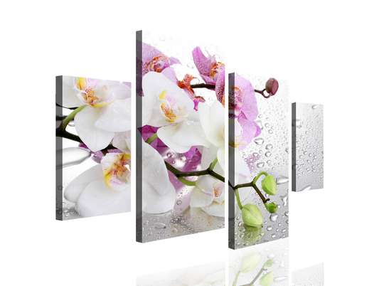 Modular picture, Pink and white orchids.