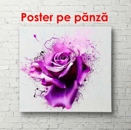 Постер - Нежные бежевые розы, 100 x 100 см, Постер в раме, Цветы