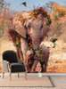 Fototapet - Elefantul și puiul de elefantul se plimbă prin deșert