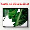 Poster - Frunze de culoare verde închis, 90 x 60 см, Poster înrămat, Botanică