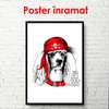 Poster - Poodle într-un capac roșu pe un fundal alb, 60 x 90 см, Poster inramat pe sticla, Minimalism